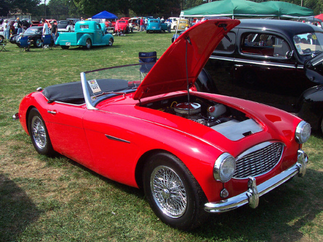 austin healey pic #5653