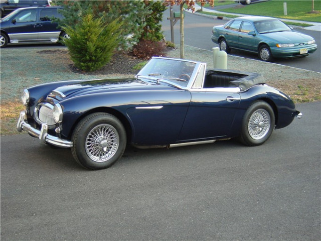 austin healey pic #5655