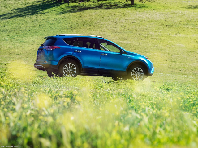 toyota rav4 hybrid pic #139598