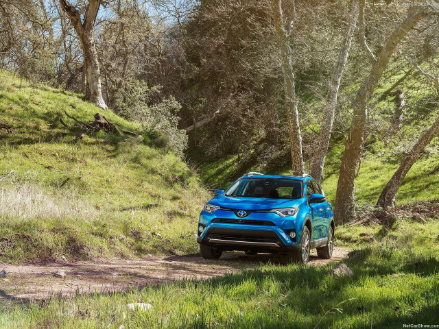 toyota rav4 hybrid pic #139608