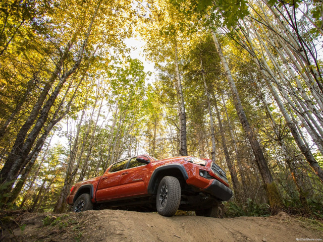 toyota tacoma trd off-road pic #149305