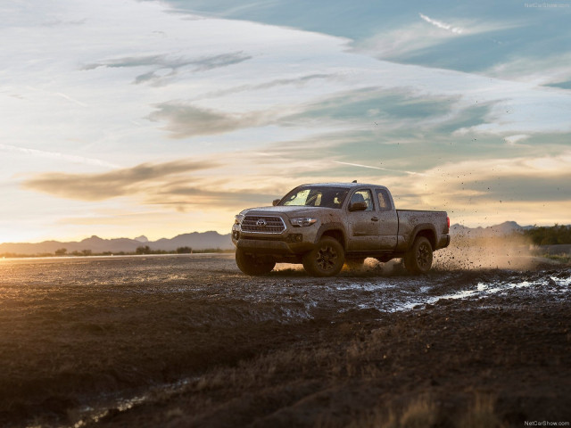 toyota tacoma trd off-road pic #149318