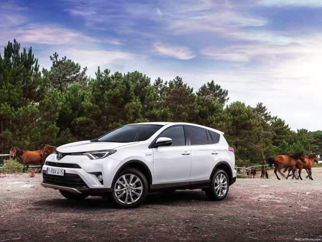 toyota rav4 hybrid pic #150303