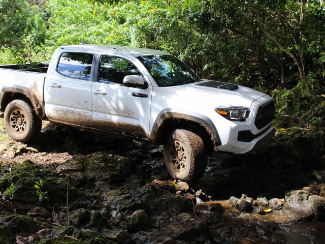 toyota tacoma trd pro pic #170565