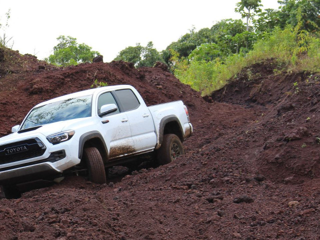 toyota tacoma trd pro pic #170567