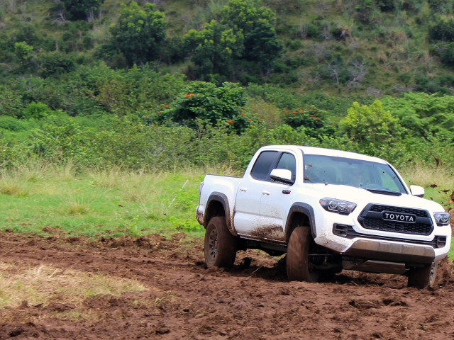 toyota tacoma trd pro pic #170569