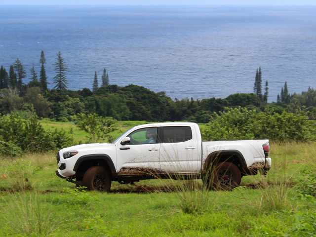 toyota tacoma trd pro pic #170570