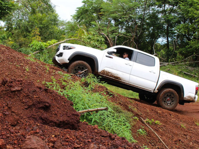 toyota tacoma trd pro pic #170575