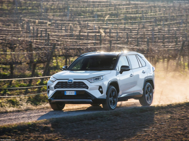 toyota rav4 hybrid pic #193130