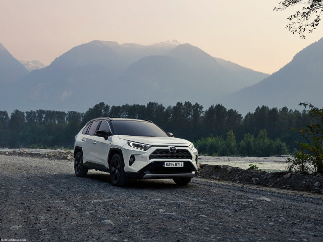 toyota rav4 hybrid pic #193142