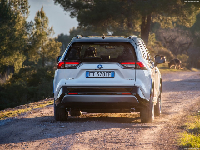 toyota rav4 hybrid pic #193150