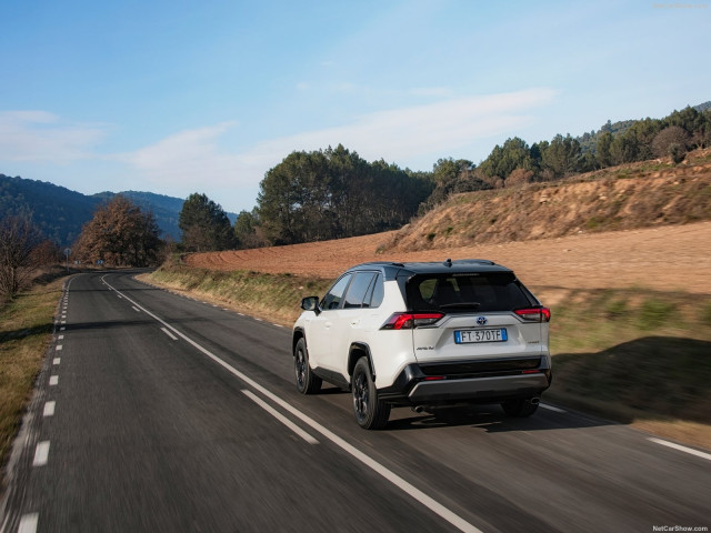 toyota rav4 hybrid pic #193152