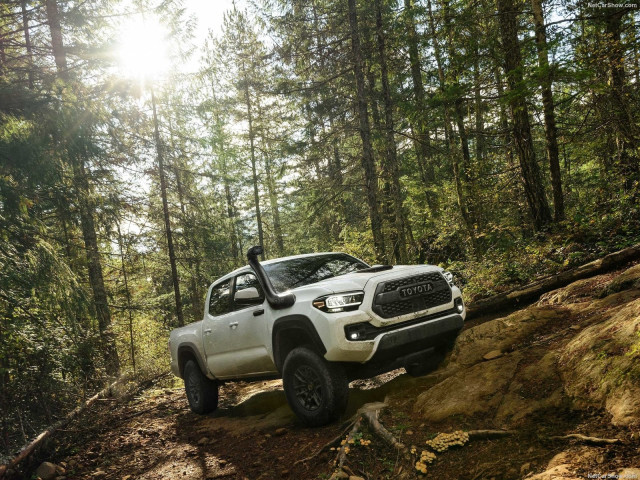 toyota tacoma pic #193650