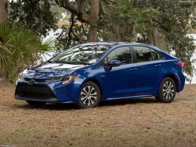 toyota corolla pic #194010