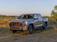 Tundra photo #208467