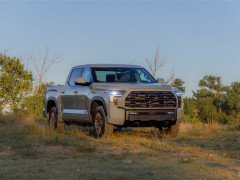 Tundra photo #208468