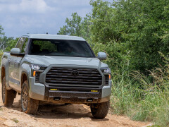 Tundra photo #209545