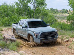 Tundra photo #209546