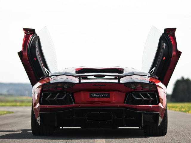 mansory lamborghini aventador pic #131257