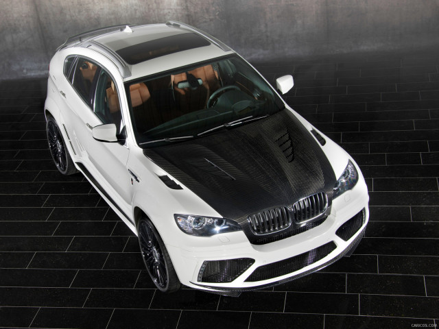 mansory bmw x6 m pic #132054