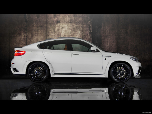 mansory bmw x6 m pic #132058