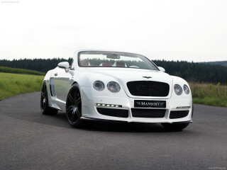 Mansory Le Mansory Convertible
