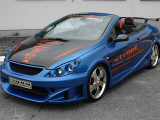 Carzone Peugeot 307CC