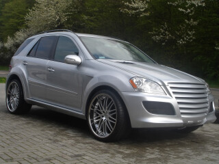 Asma ML Gladiator II