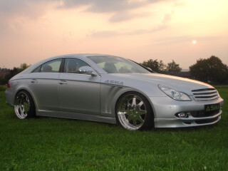 Asma CLS Shark