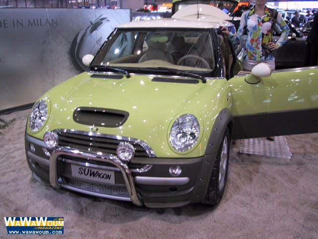 castagna mini su-wagon pic #35526