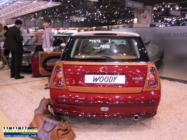 castagna mini woody pic #35541