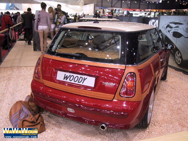 castagna mini woody pic #35542