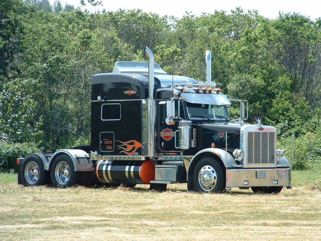 peterbilt 379 pic #44476