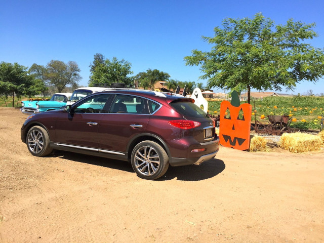 infiniti qx50 pic #168344