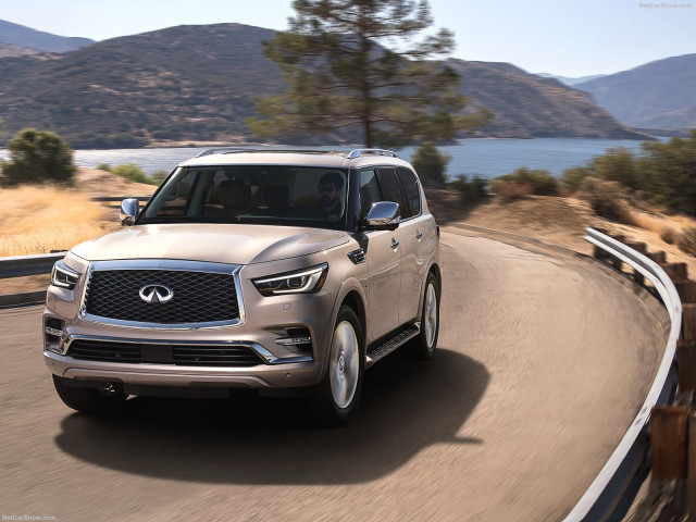 infiniti qx80 pic #183413