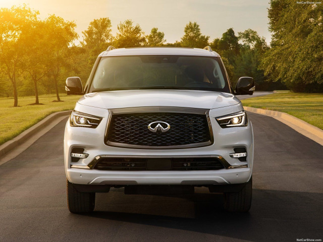 infiniti qx80 pic #197860