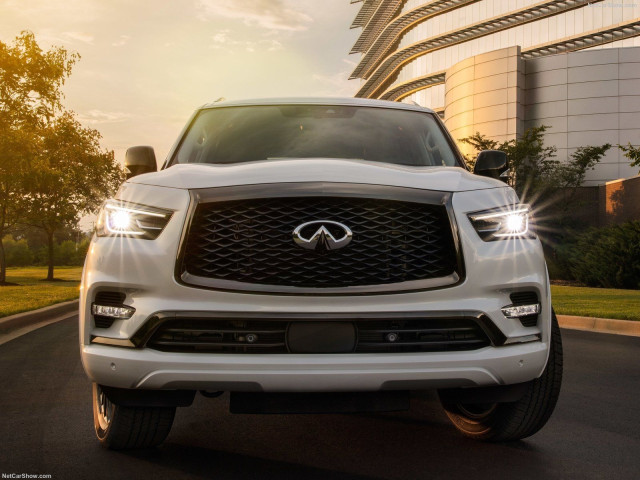 infiniti qx80 pic #197861