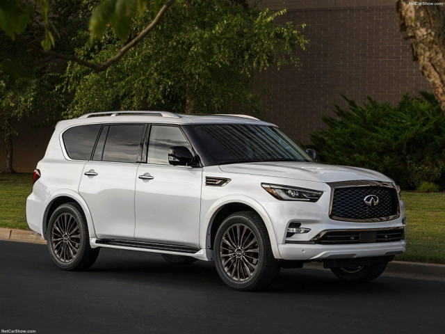 infiniti qx80 pic #197862