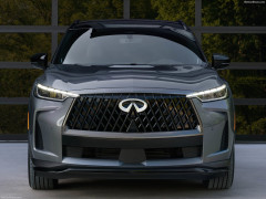 QX60 photo #206659