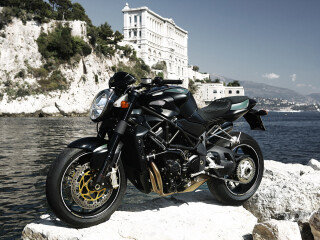 MV Agusta Brutale 910 Wally