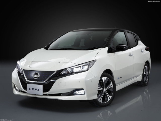 nissan leaf pic #181215