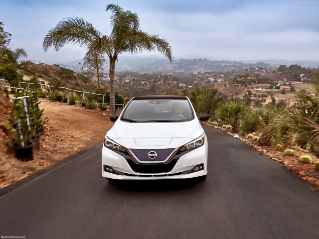 nissan leaf pic #181216