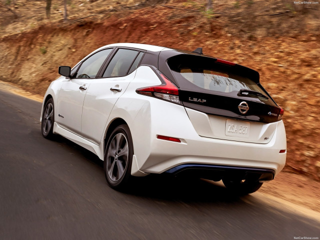 nissan leaf pic #181217