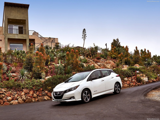 nissan leaf pic #181221