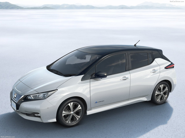 nissan leaf pic #181224