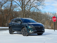 Qashqai photo #207943