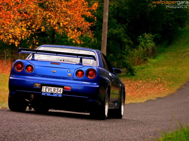 nissan skyline gt-r pic #40102