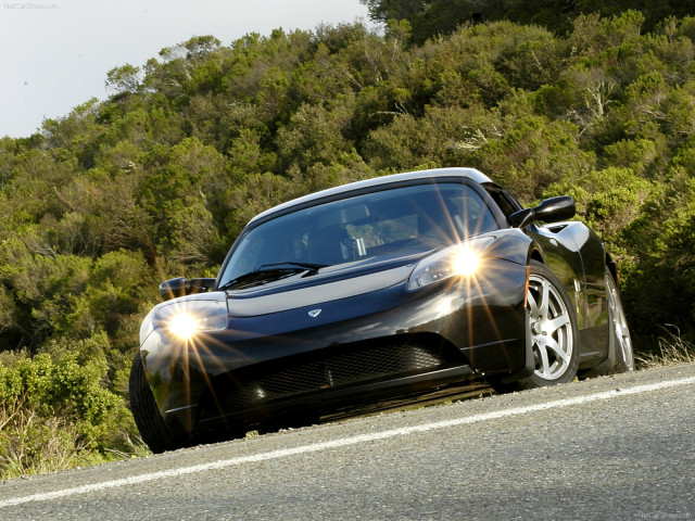 tesla roadster pic #156863