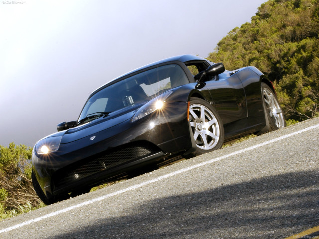 tesla roadster pic #156867