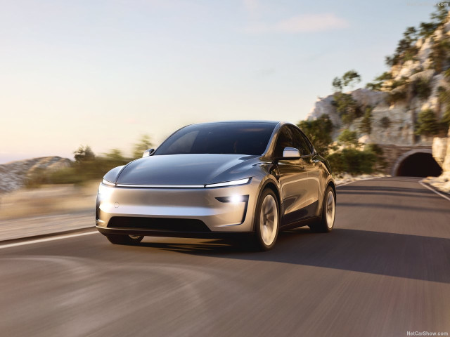 tesla model y pic #206181